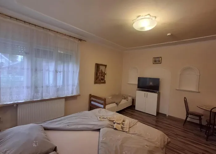 Pensionat Morocz Vendeghaz