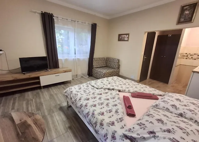 Pensionat Morocz Vendeghaz